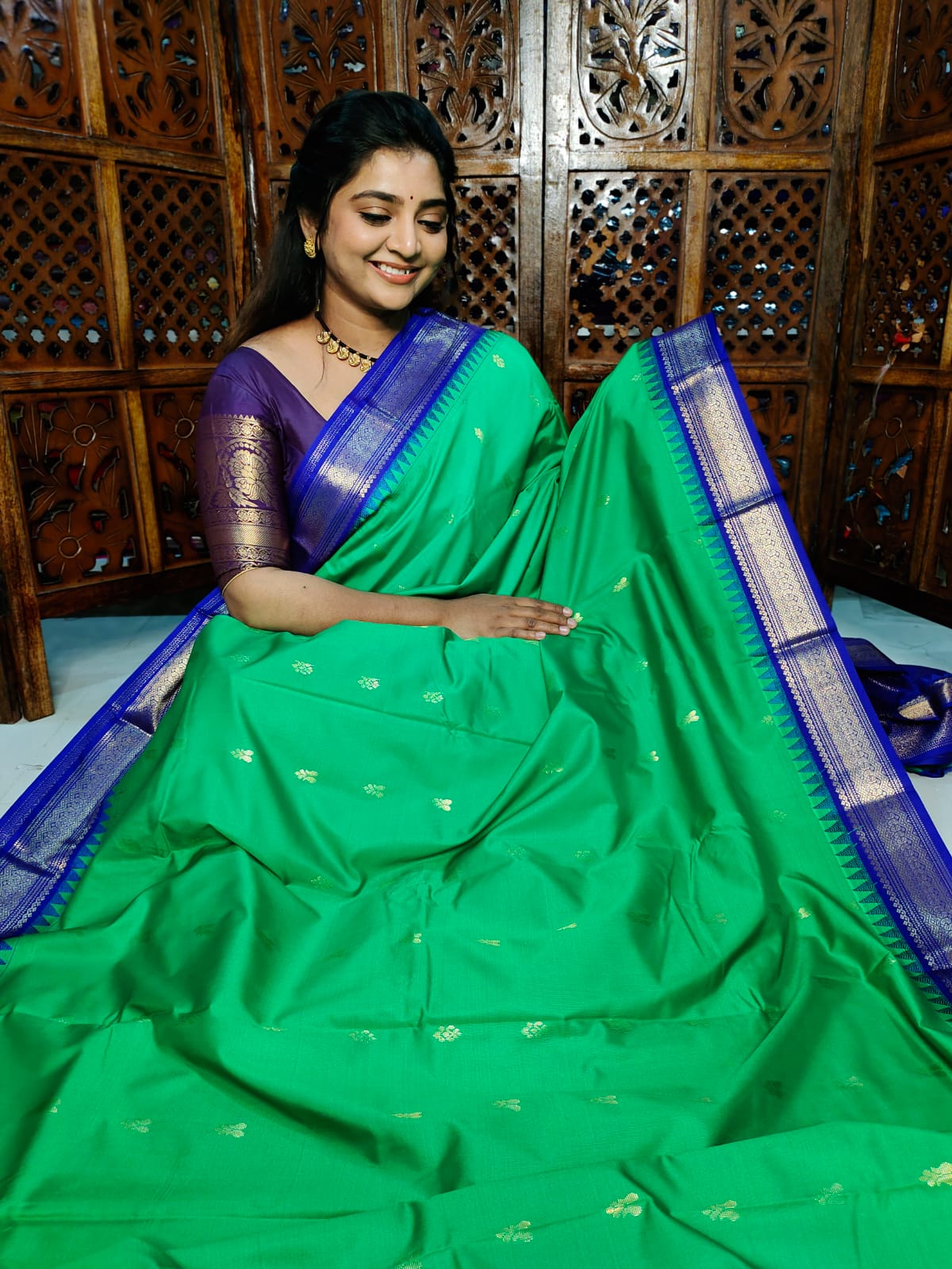 విజి1250