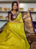 New vintage gadwal