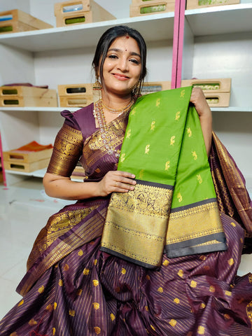 Vitange gadwal silk saree