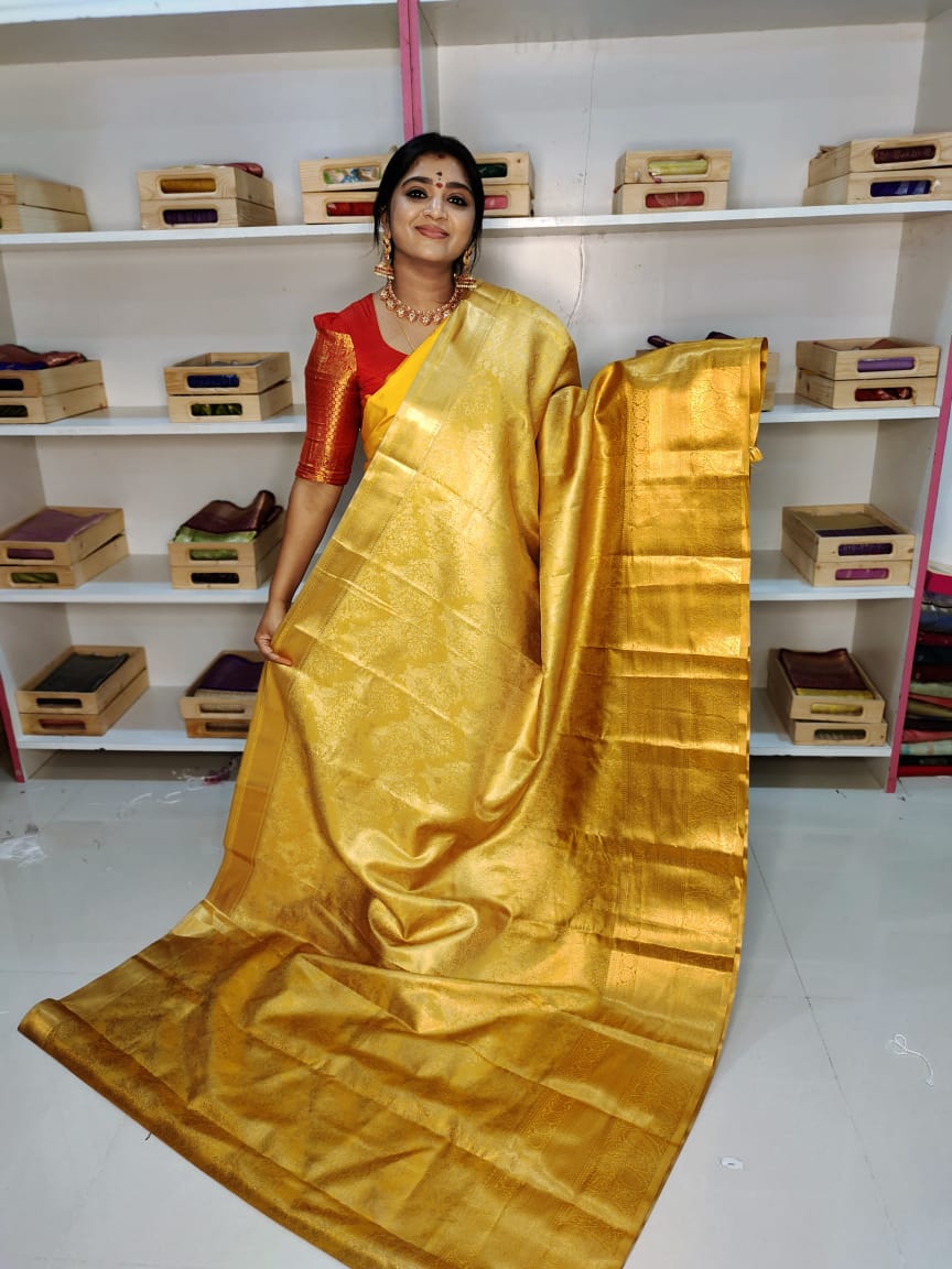 Kanchi pattu collection