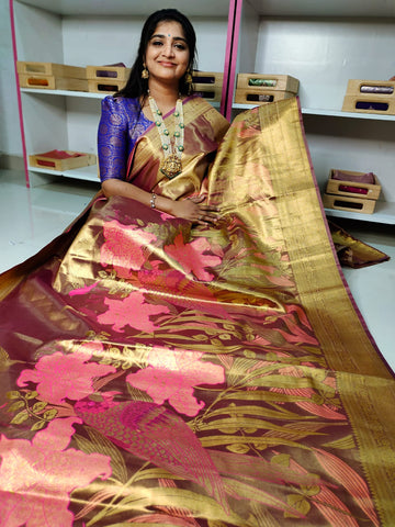 90% ఆఫర్ కంచి పట్టు సేకరణ