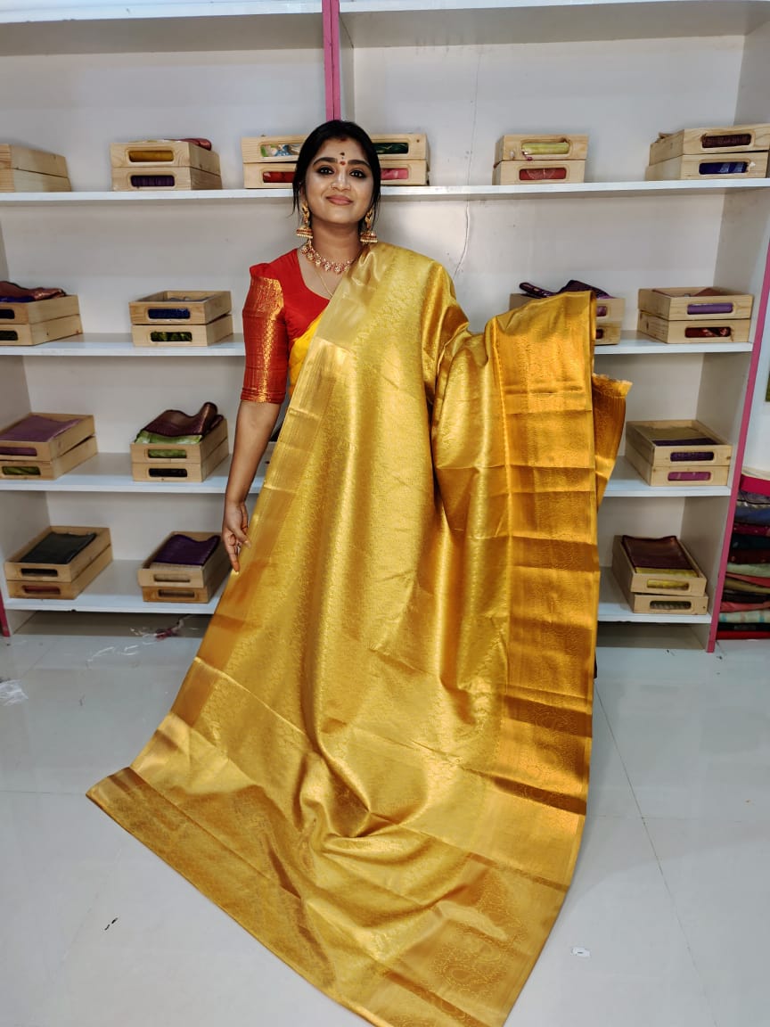 Kanchi pattu collection