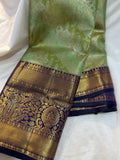 Kanchi sale