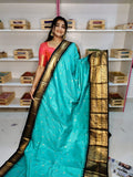 జివి2500