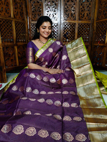 ఎన్‌పి1100