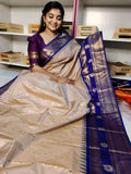జివి2500