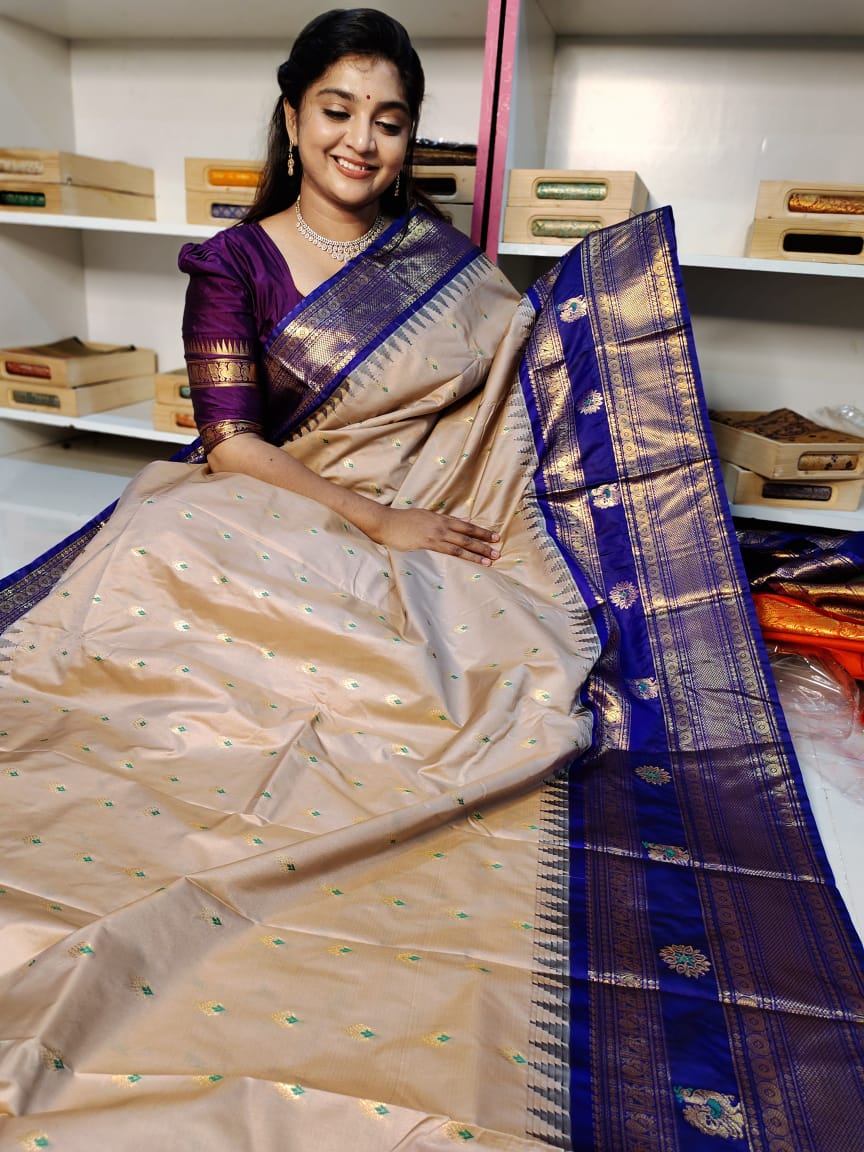 జివి2500