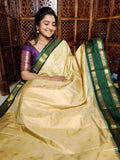 జివి1250