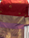 Soft Gadwal silk