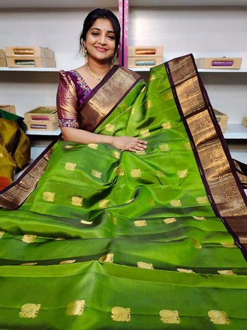 Silk mark kanchi pattu