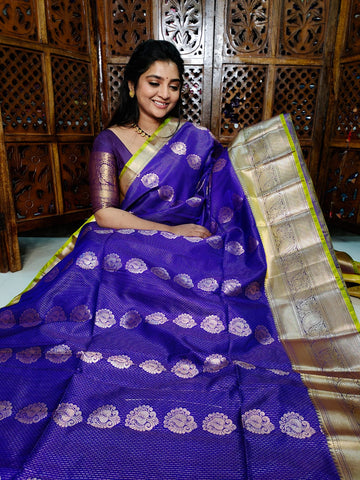 ఎన్‌పి1100