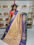 జివి2500