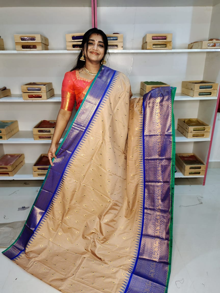 జివి2500