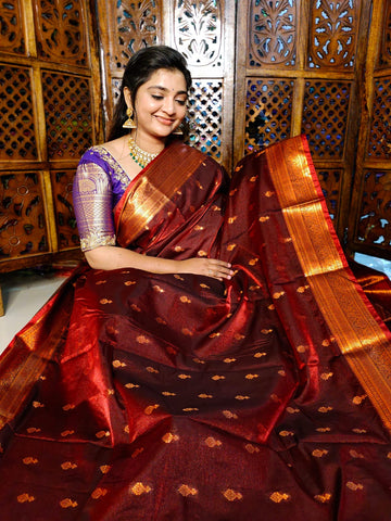 పివి1450