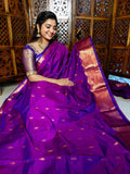 పివి1450