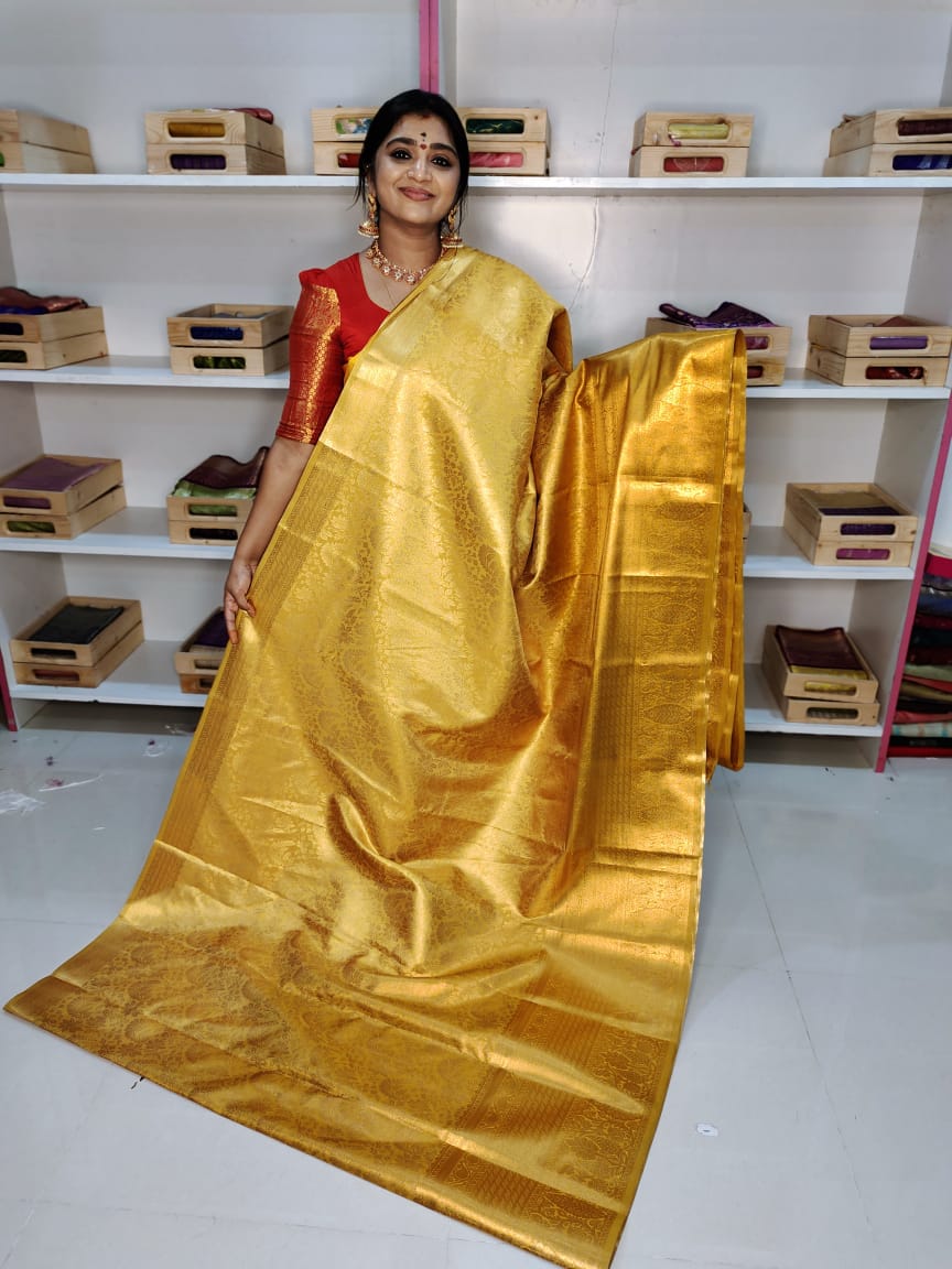 Kanchi pattu collection