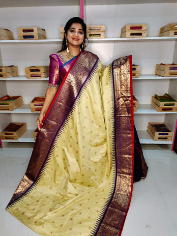PM3500 లైట్