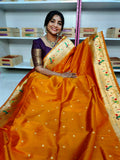 Banarasi tishu saree