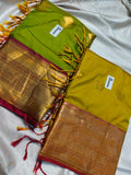 1+1 Uppada silk